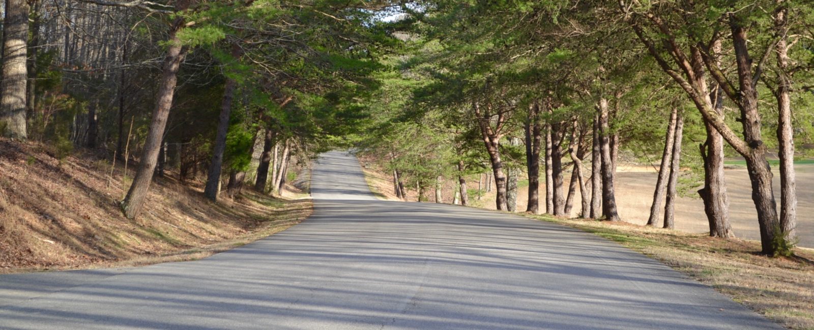 Barren River Lake State Resort Park