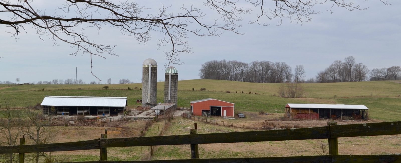 Scenic view of Farm