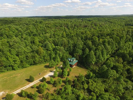 Hickory Haven, Hickory Cabins