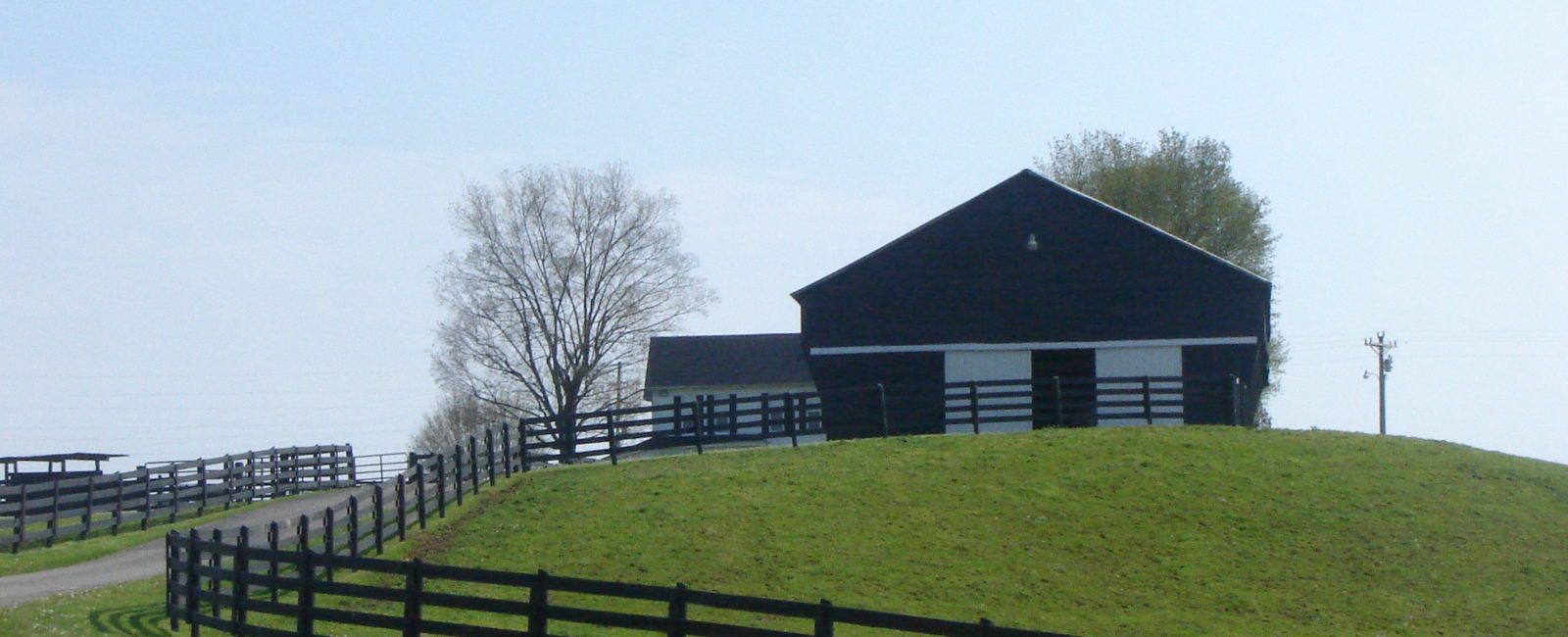 Barn, Black Angus Farm