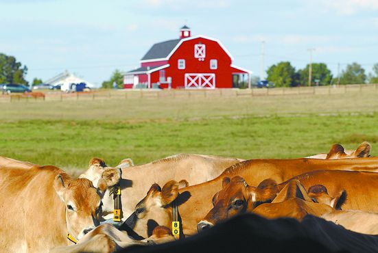 Chaney’s Dairy Barn