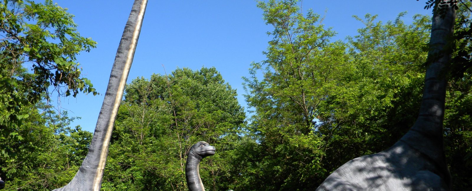 Dinosaur World