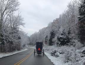 Frosty Morning Amish Buggy