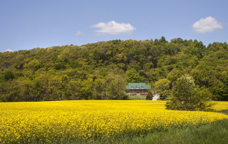 Hidden Lane Farm