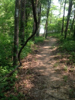 Nolin Lake State Park, Trails