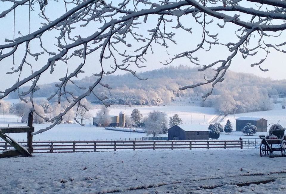 Snowy Rural View