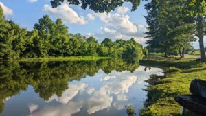 Lake Shelby
